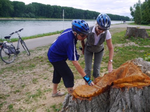 Rijn met dames met blad