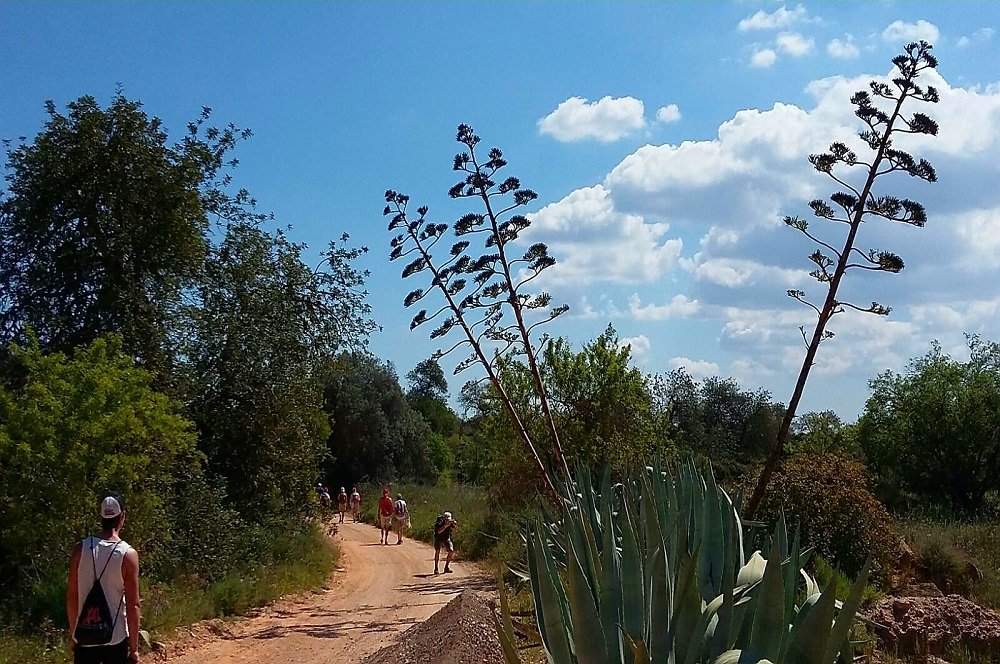 Wandelvakantie Algarve o.l.v. Romy van Dieren