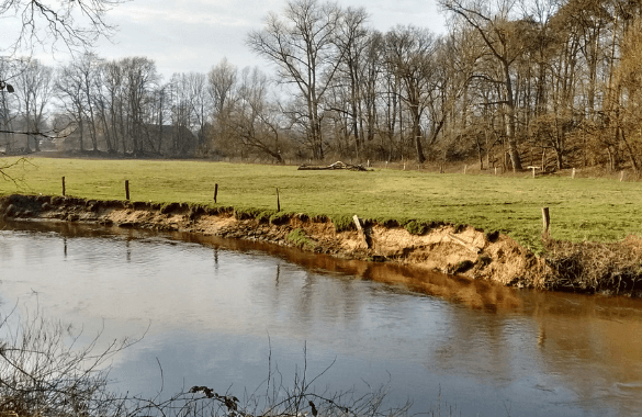 Wandeltocht in Het Lutterzand