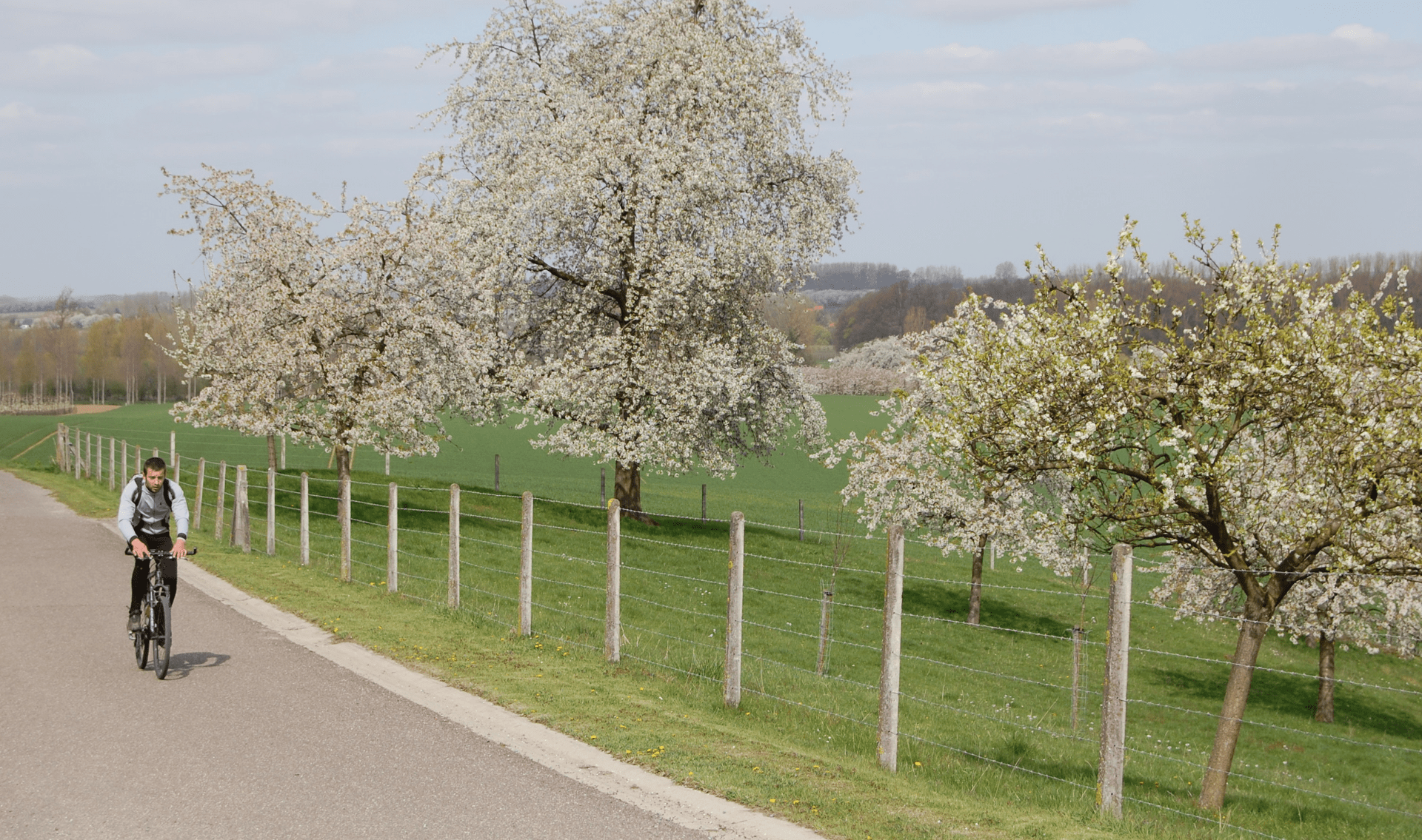 Fietsvakantie Zeeuws Vlaanderen/Hulst