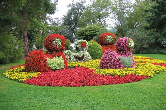 Park gekleurde struiken