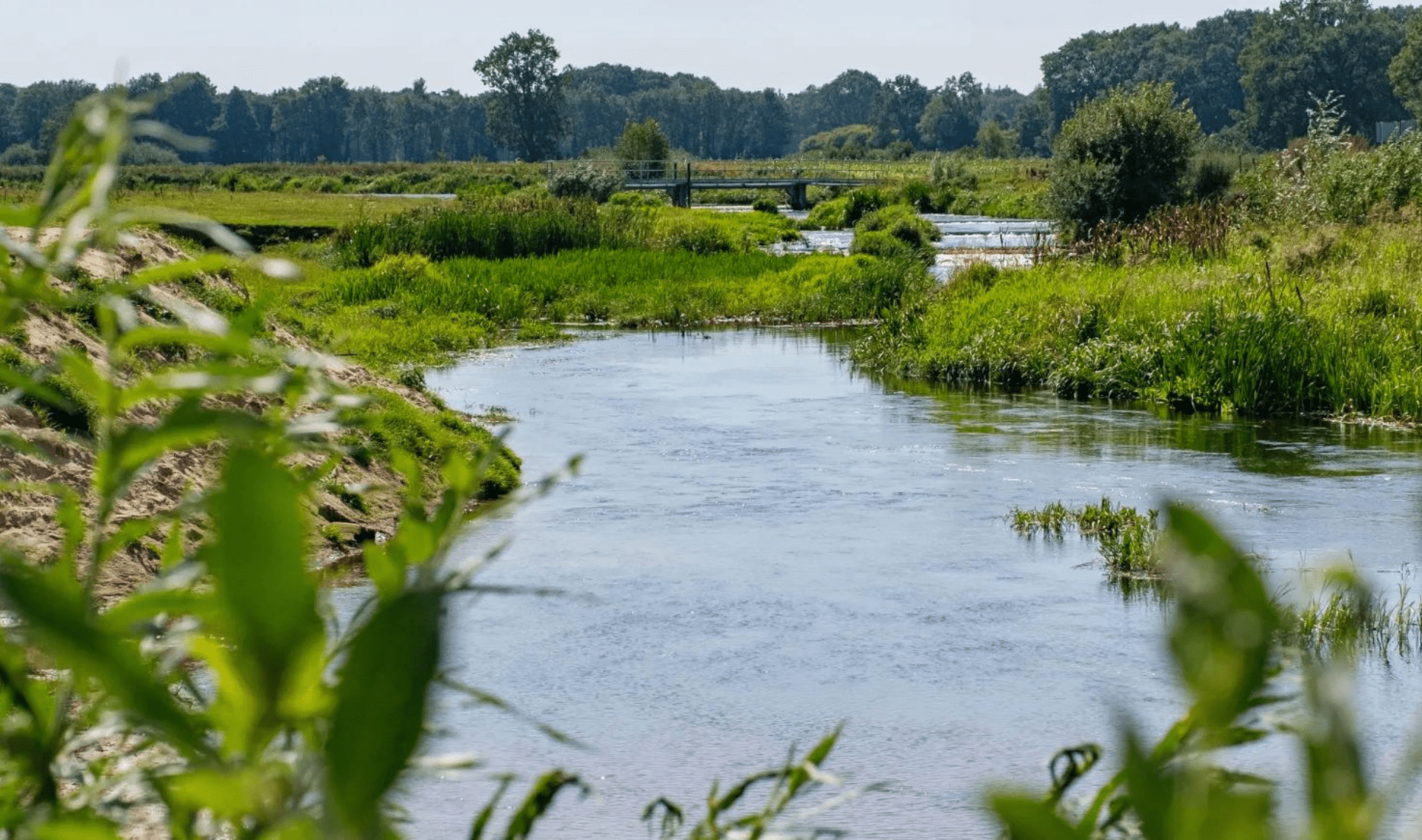 Wandelvakantie Pieterpad 