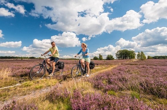 Fietsen over de heide tijdens de fietsvakantie Lüneburgerheide