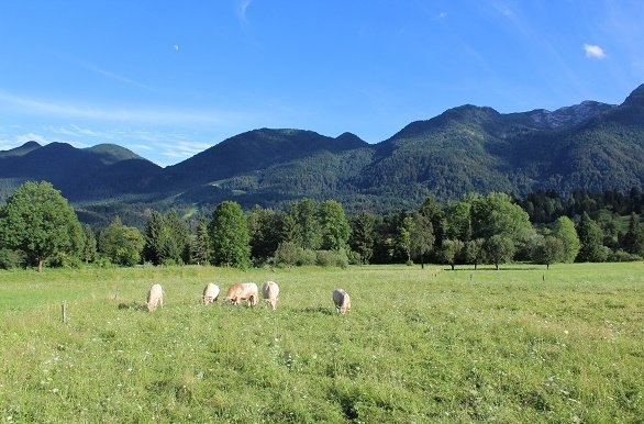 Juliana Trail etappe 7 Weides