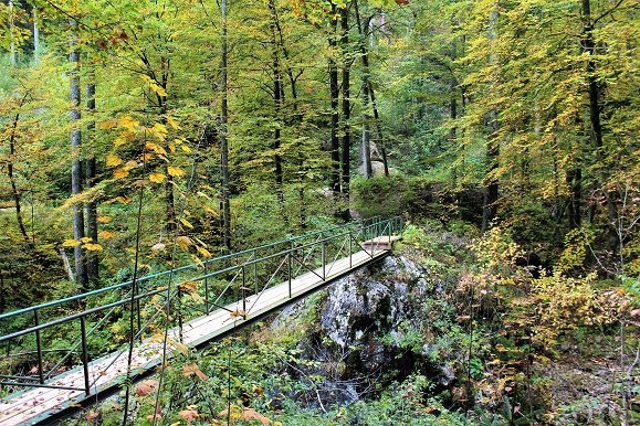 Juliana Trail etappe 7 Brug over Bistrica