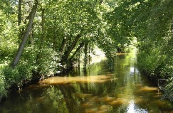 Münsterland riviertje de Dinkel