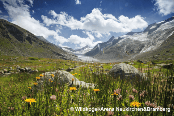 Pinzgau Untersulzbach Pinzgau Untersulzbach