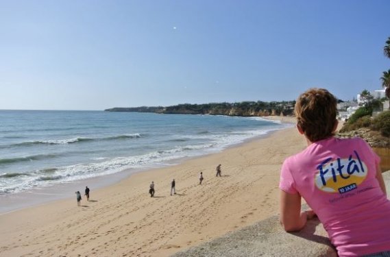 Strand van Albufeira vakantie Portugal fietsvakantie met het vliegtuig Strand van Albufeira vakantie Portugal fietsvakantie met het vliegtuig