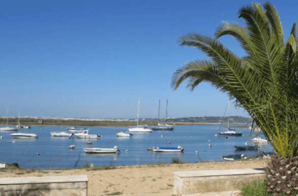 Online bestellen: Fietsvakantie Algarve Dom José