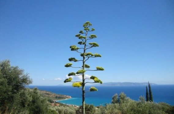 uitzicht Kefalonia uitzicht Kefalonia