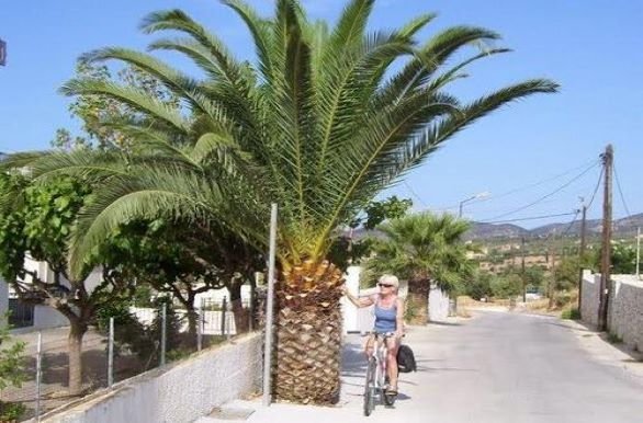 Online bestellen: Fietsvakantie Kefalonia en Ithaka 8D