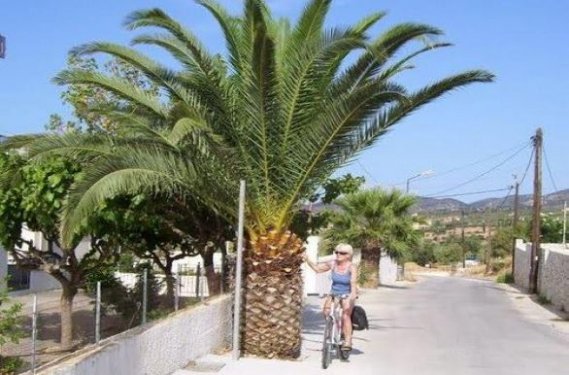 Fietsroute Kefalonia Fietsroute Kefalonia