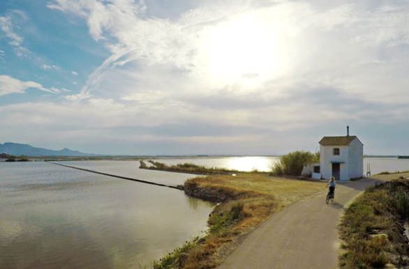 vanuit Valencia langs de zee naar de rijstvelden