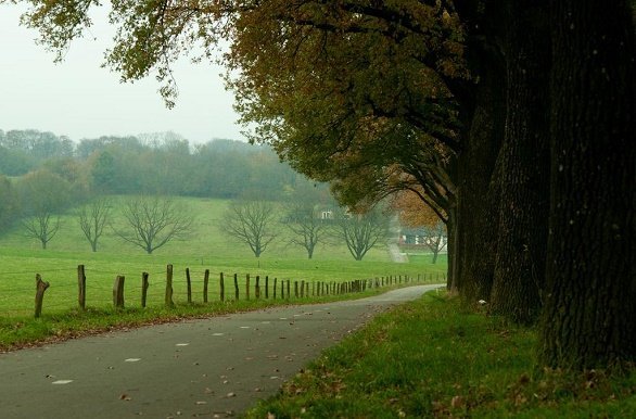 Pieterpad omgeving van Groesbeek