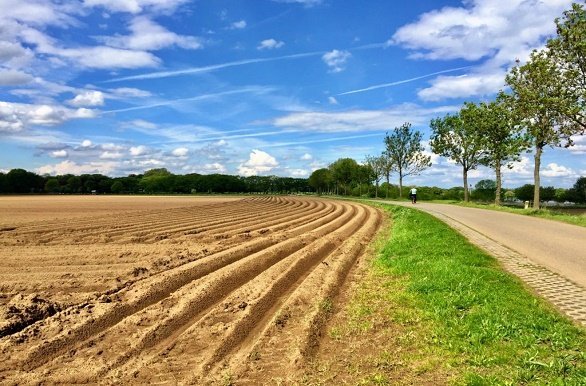 aspergevelden Noord Limburg