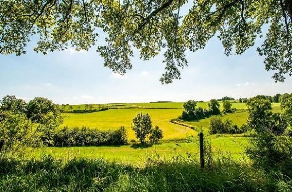 Wandelen door het Zuid Limburgse Heuvelland Wandelen door het Zuid Limburgse Heuvelland