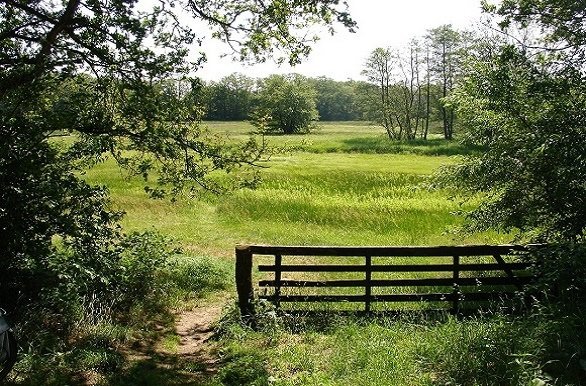 Wandelen over het Pieterpad van Anderen naar Ommen