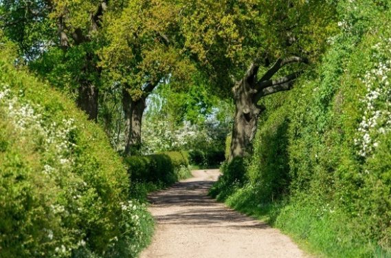 Wandelen over het Pieterpad van Gennep naar Swalmen Wandelen over het Pieterpad van Gennep naar Swalmen