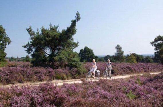 Fietsen op de heide Fietsen op de heide