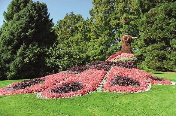 Fietsen rond de Bodensee door 3 landen en bezoek aan Mainau