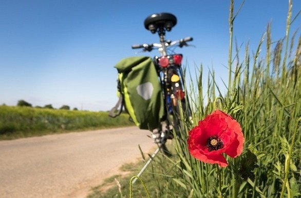 Fiets met Papaver op de voorgrond