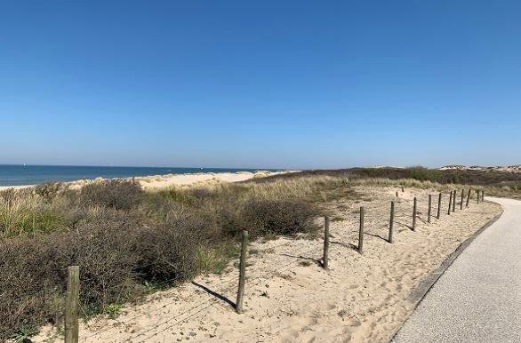 Zuiderstrand duinen