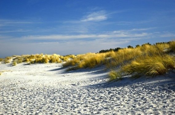 Duinen in nederland tijdens fietsvakantie op een cruiseboot met een groepsreis Duinen in nederland tijdens fietsvakantie op een cruiseboot met een groepsreis