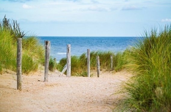 Duinen met zee Duinen met zee