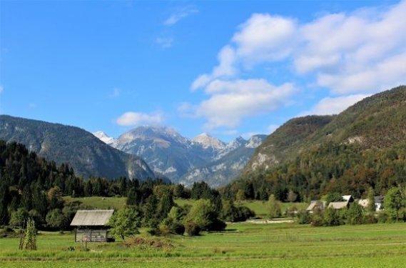 Het landschap van Bohinj Het landschap van Bohinj