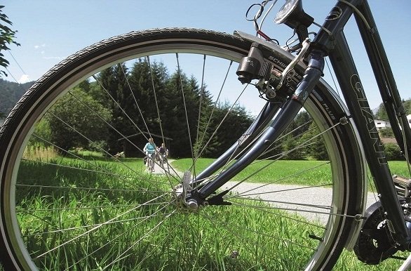 Fietsvakantie Münsterland.