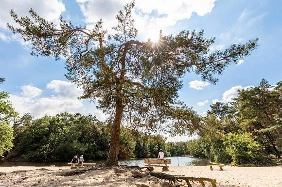 Loonse en Drunense Duinen