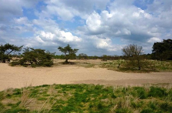 Loonse en Drunense Duinen