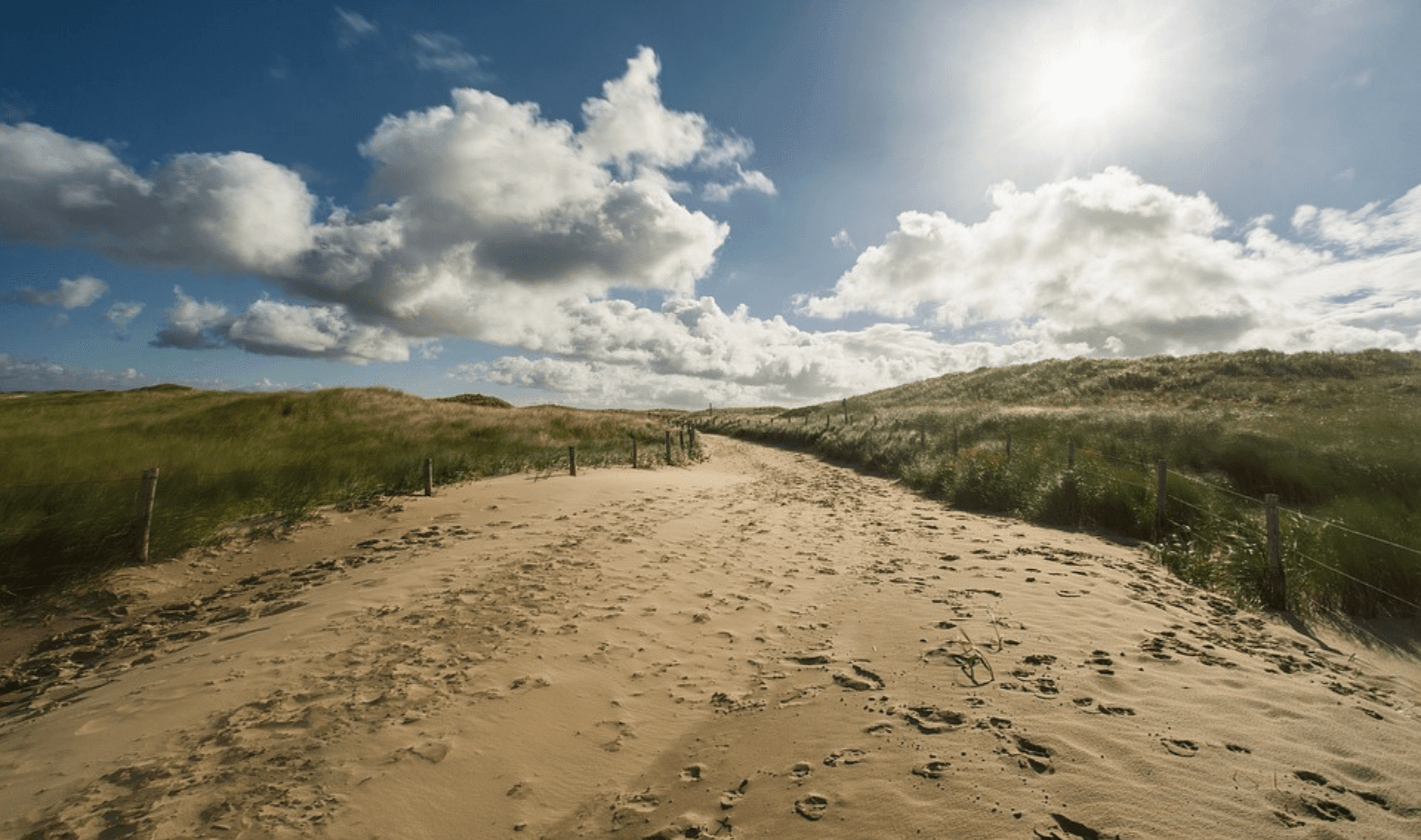 Fietsvakantie zee en duinen