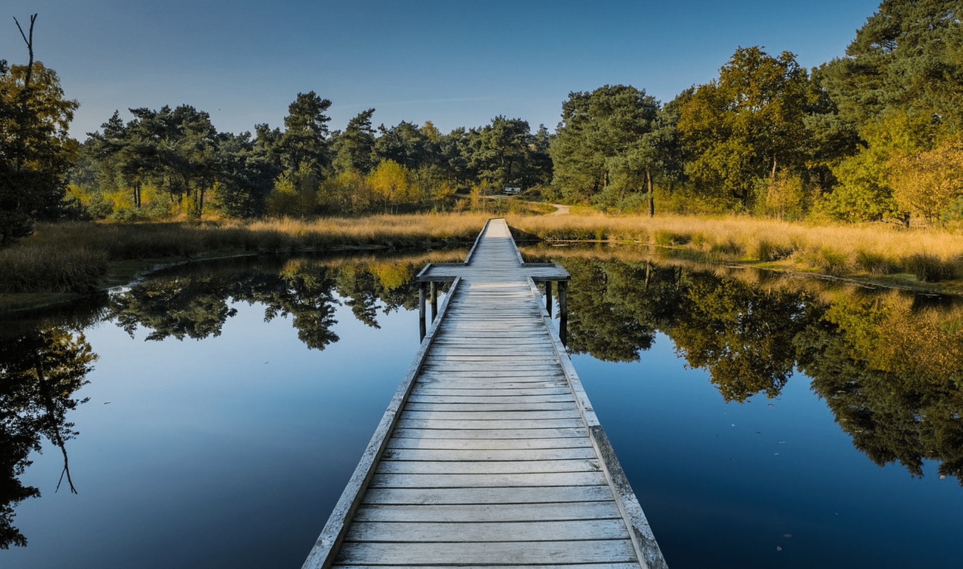 Wandelvakantie Pieterpad etappe 19-22