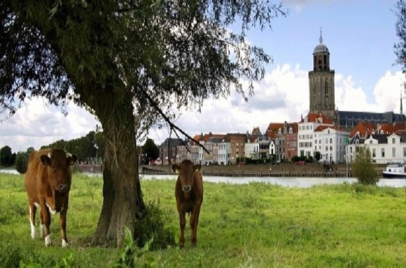 Hanzesteden Deventer tijdens fietsvakantie in nederland met een groepsreis op een cruiseboot