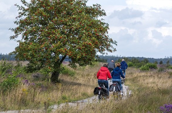 Fietsers in Drenthe