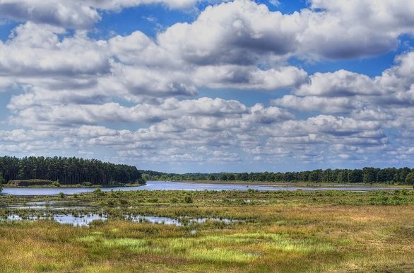 Natuur Drenthe