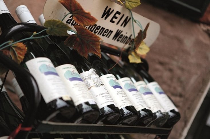 Wijnproeverij aan de Moezel