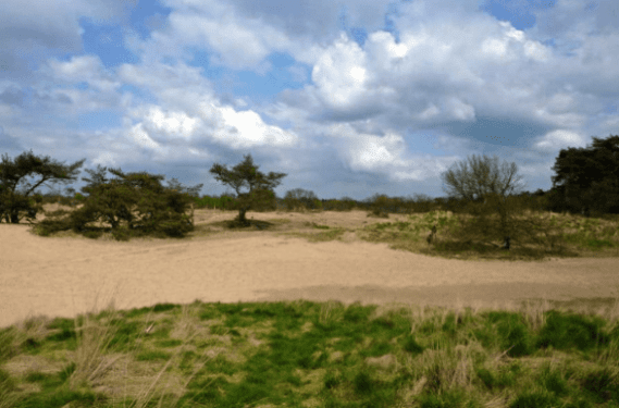 Drunense Duinen Drunense Duinen