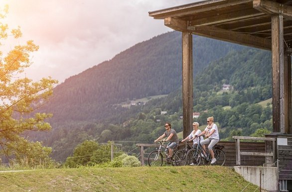 Fietsers bij Brug over de Drau