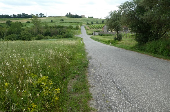 Sfeerplaatje omgeving Vinci fietsen in Toscane