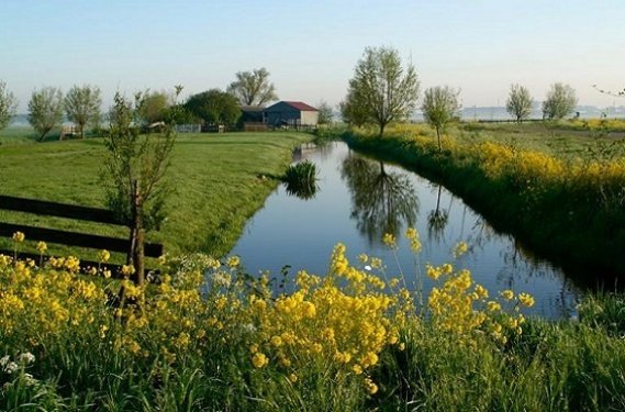 Het Groene Hart Het Groene Hart