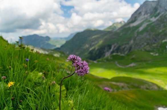 Fietsen door TIrol