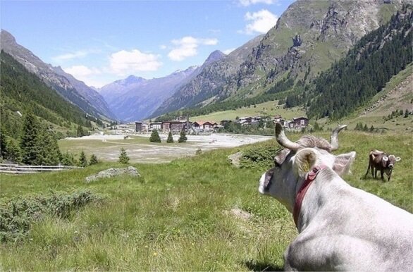 Het kleine dorpje Mandarfen tijdens de fietsvakantie Inn en Arzl