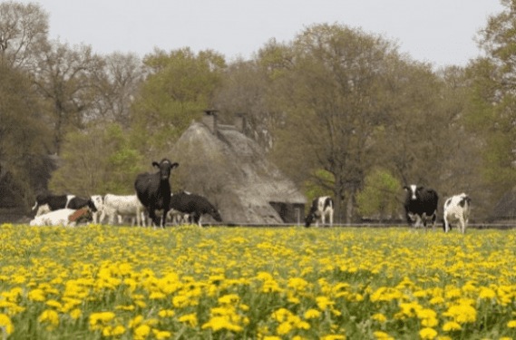Drenthe Drenthe