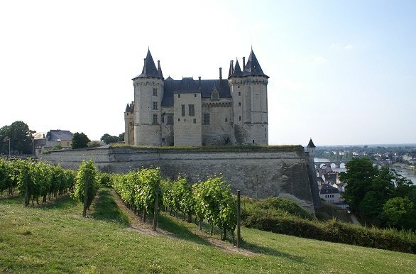 Saumur fietsen langs de Loire