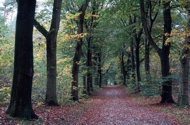 Herfst in Nederland Herfst in Nederland