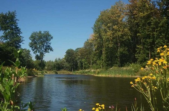 Oostvaardersplassen tijdens fietsvakantie in Nederland met cruiseboot en groepsreis