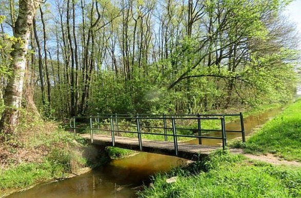 Omgeving Afferden gelegen in de Maasduinen