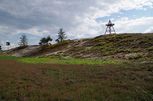 Uitkijktoren de Maasduinen